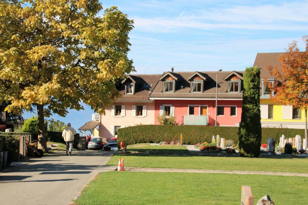 Les Narcisses Appartement Blonay Buitenkant foto
